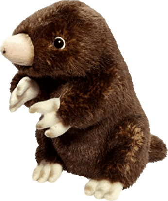 mole